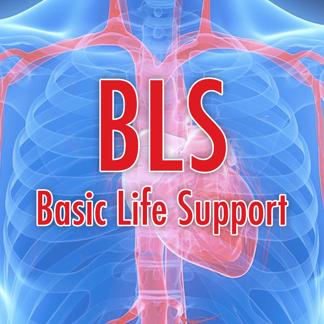 bls-classes-suffolk-county
